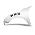FENDERS (PAIR)