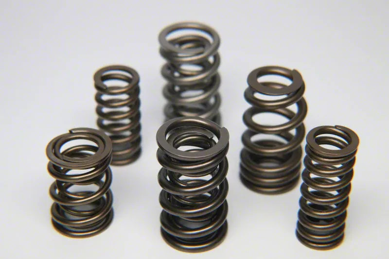 Ferrea Racing springs