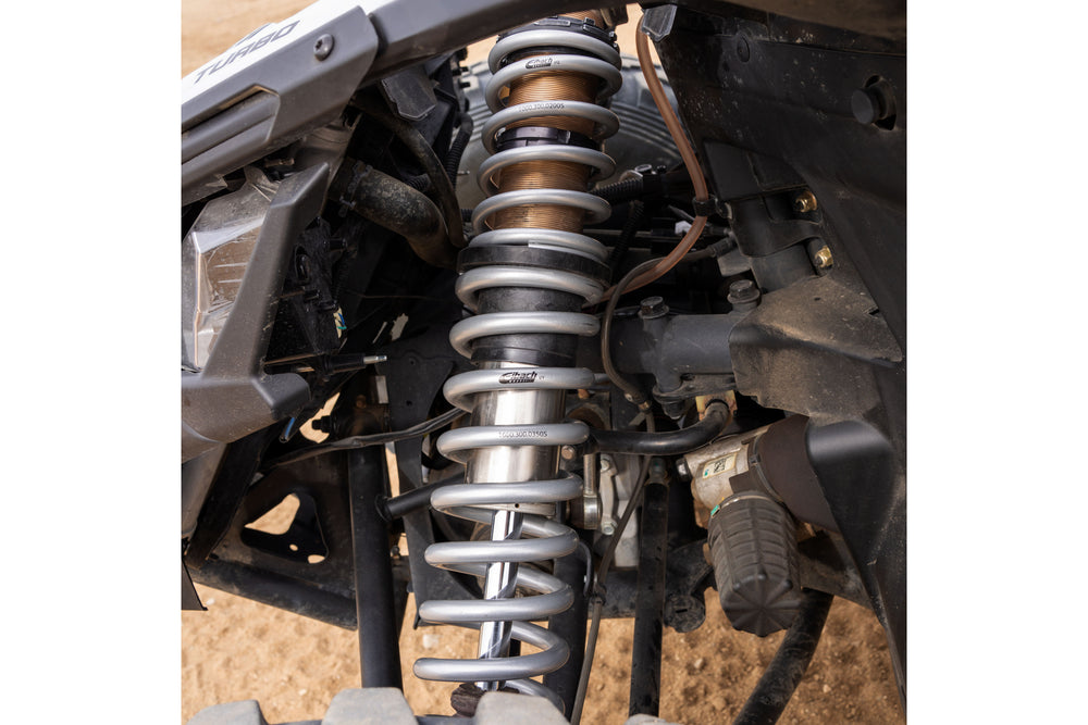 Eibach springs