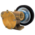 F8B50017 CL. PUMP 1 1/4 NPT 12V 1XB7IN