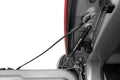 Tailgate Assist Ram 1500 2WD/4WD (2019-2024)