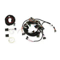 HARNESS KIT, TPI/STEALTHRAM