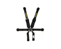 Harness 6pt Profi 3 Pull -Up Lap RH Hans Shldr