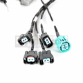 Rywire Honda K24Z3 Tucked Budget Engine Harness w/OBD2 02-04 K24Z3 Sensors & Connectors/Front VSS