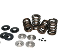 Ferrea 2015 Ford Ecoboost 2.3L Single Spring Kit
