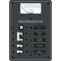 PANEL 120VAC 2POS W/ELCI MAIN 30A V