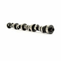 NITROUS SYSTEM PERIMETER PLATE EFI