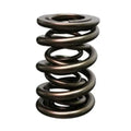 Ferrea Nissan VR38DETT Dual Valve Spring - Set of 24