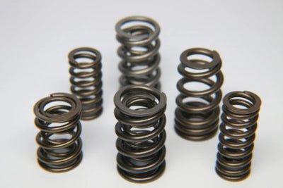 Ferrea Racing springs