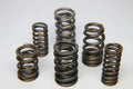 Ferrea Racing springs