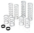 Eibach springs close-up