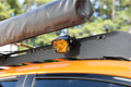 MORIMOTO 4BANGER DRIFT LIGHT KIT: 1