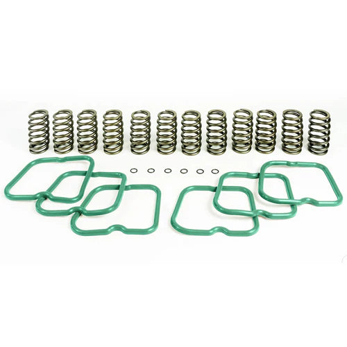 ~(3 lbs. 8X6X4)~ Basic Spring Kit 12 Springs For 94-98 Dodge Ram 2500/3500 Cummins 12 Valve Engine Pacbrake