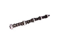 Magnum 244/244 Hyd Flat Cam AMC 290-401