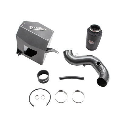 Wehrli intake system