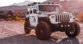 ~(62 lbs. 33X33X11)~ LT295/60R20 126S E/10 OPATII X