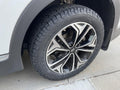 275/35ZR21 103Y XL PSPTCUP2 ND0