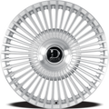 GLOSSY SLIVER BRUSH FACE