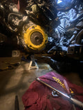HD/PERF STREET SPRUNG