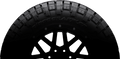 ~(68.4 lbs. 33X16X11)~ NTGRG LT305/65R18 F 128/125Q