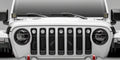 T-Rex Grilles roof rack