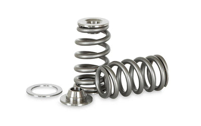 Kelford Cams springs