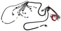 Fast Harness Ez-Efi Fuel