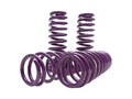 Lowering Springs Magnum (