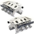 HOLLEY HI-RAM MANIFOLD FOR CATHEDRA