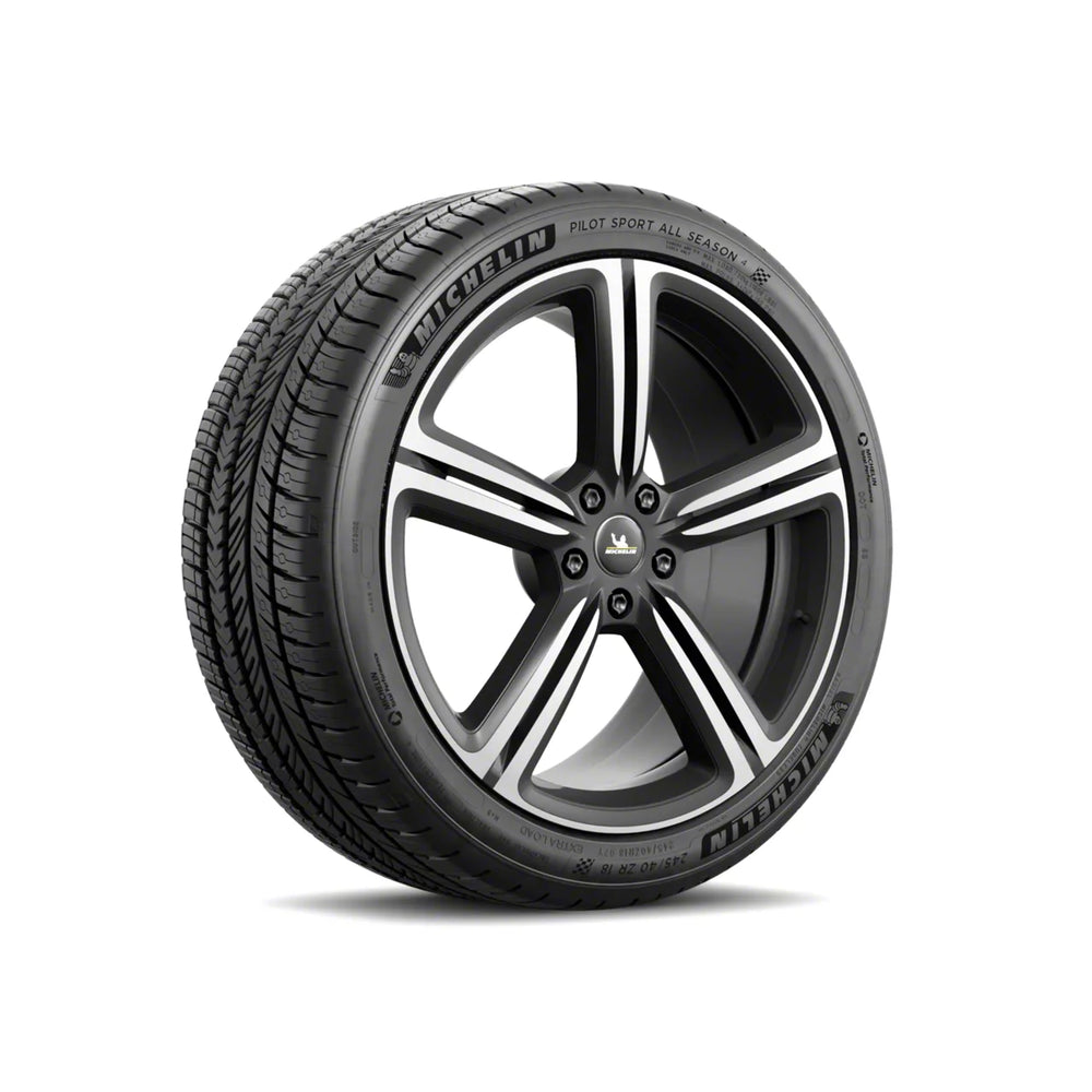 Michelin Pilot Sport A/S 4 285/45R22 114Y XL