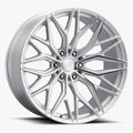 AL13 - 41065503FR86MS-P2