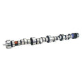Hydraulic Roller Cam - SBC XR276HR-12