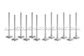 Ferrea Toyota G16E-GTS 32mm Head 5.47mm Stem Dia Competition Plus Exhaust Valve - Set of 6