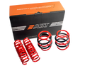 AST 11/2000-10/2007 Audi A4 Lowering Springs - 30mm/30mm