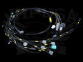 Rywire 02-04 Honda K-Series MilSpec Eng Harness (Custom Specs in Notes Adapter Req / Drop Ship Only)