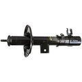 OESPECTRUM PREMIUM STRUT