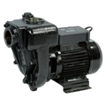 E300 PUMP 220V/60HZ ARL 2'NPT - REQ