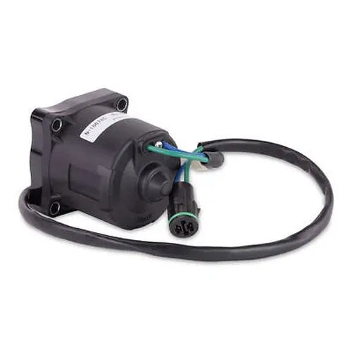 TRIM MOTOR