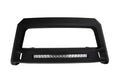 LUND bull bar