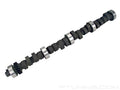 Magnum 224/224 Hyd Flat Cam Ford 429,460