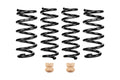 Eibach springs detail