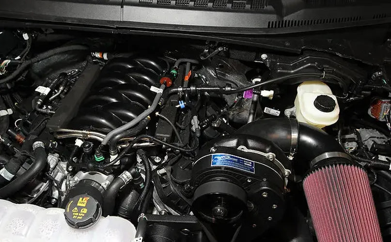 18-20 F150 5.0L ProCharger HO Intercooled Tuner Supercharger 1FY401-SCI