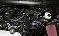 18-20 F150 5.0L ProCharger HO Intercooled Tuner Supercharger 1FY401-SCI
