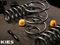 AST 12/2014- Volkswagen PASSAT Lowering Springs - 40mm/40mm