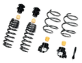 AST Suspension BMW X3M (F97) / X4M (F98) Adjustable Lowering Springs