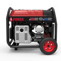 DUAL FUEL GENERATOR W/ELECTRIC STAR