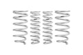Eibach lift kit detail