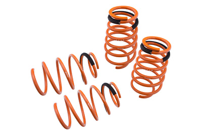 Megan Racing springs