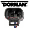 Dorman auto part