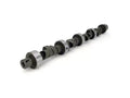 XE 244/252 Solid Flat Cam Chrys 273-360